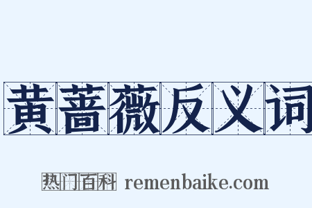 黄蔷薇反义词是什么意思的图片